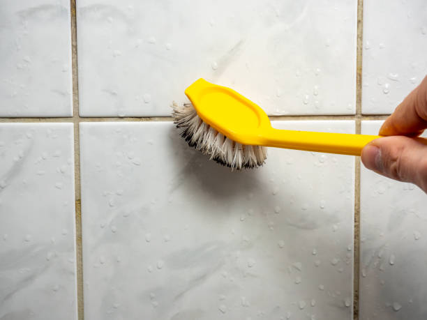 Best Professional Mold Removal  in Westport, IN