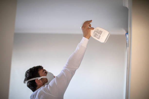 Best Office Mold Removal Services  in Westport, IN