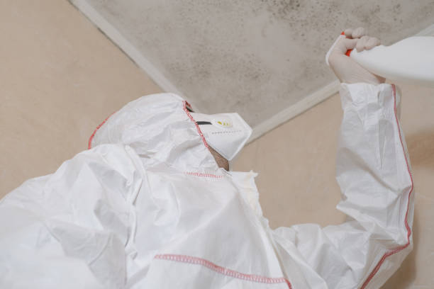 Attic Mold Removal in Westport, IN